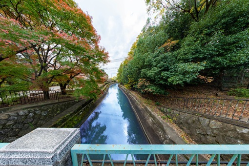 Canal in front of the Rakuto High School